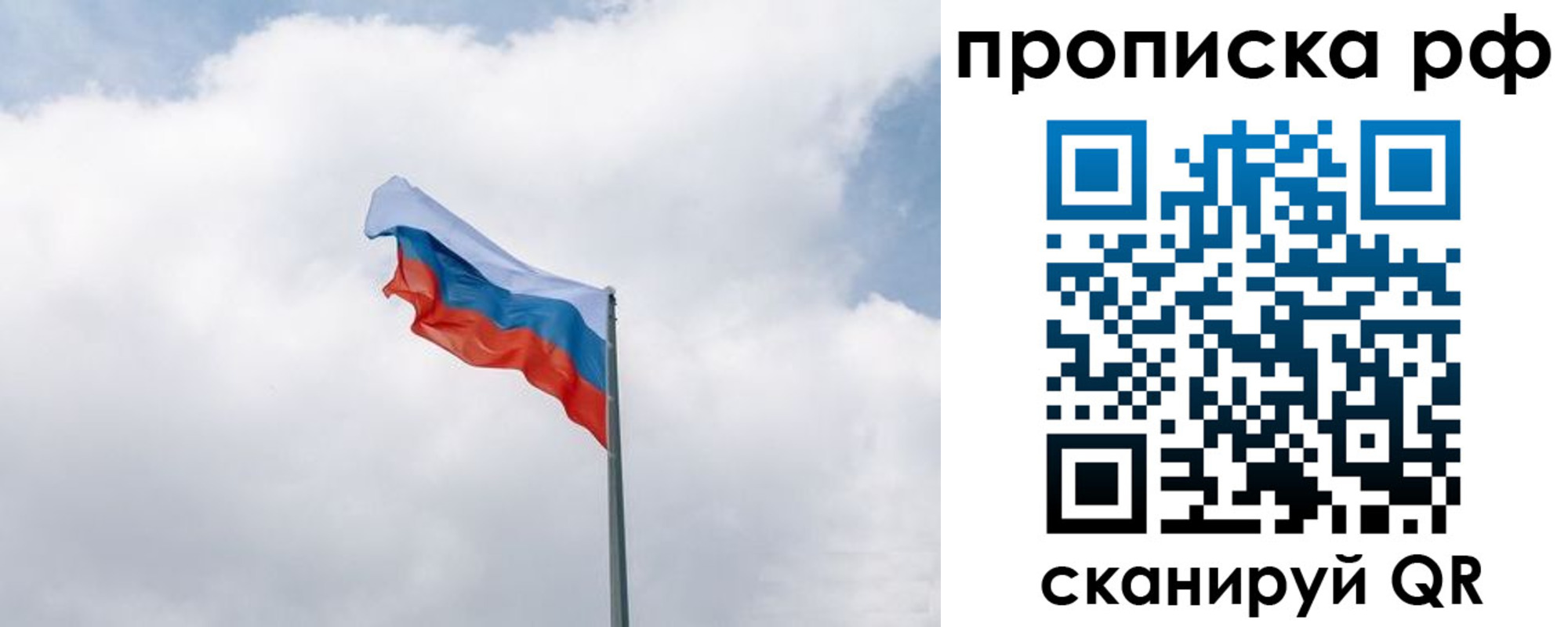 прописка гарантия в Тимашёвске