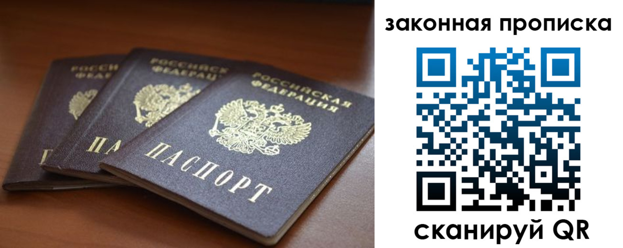 временная регистрация для школы в Тимашёвске